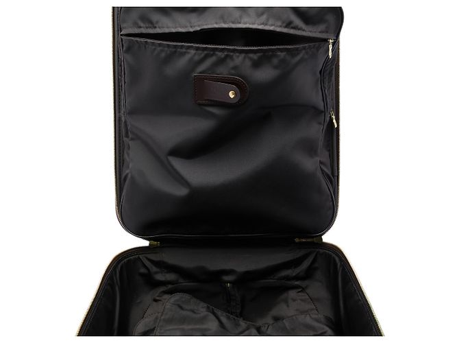 Louis Vuitton Brown Damier Ebene Pegase Legere 45 Marrone - vista 5