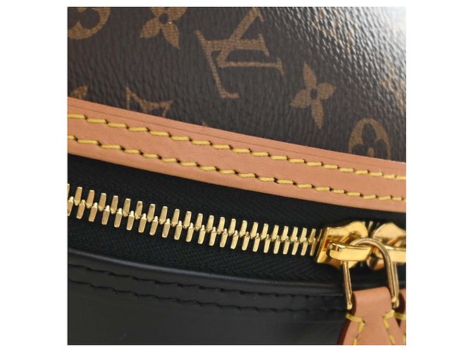 Borsa Egg Louis Vuitton in Monogram marrone e pelle di vitello - vista 10