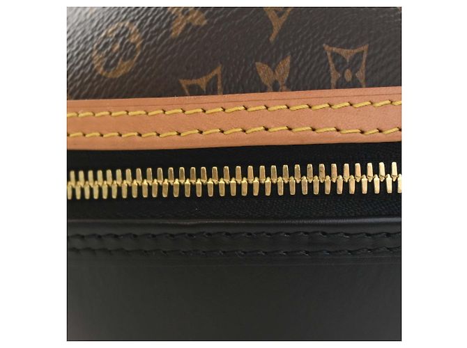 Borsa Egg Louis Vuitton in Monogram marrone e pelle di vitello - vista 11