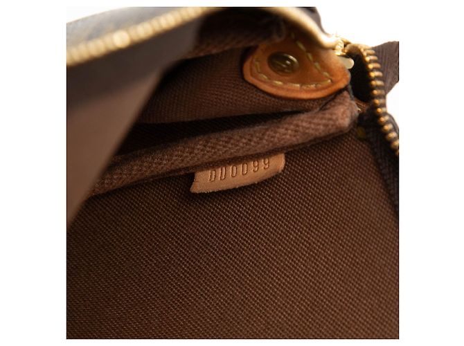Louis Vuitton Brown Monogram Eva Marrone - vista 6
