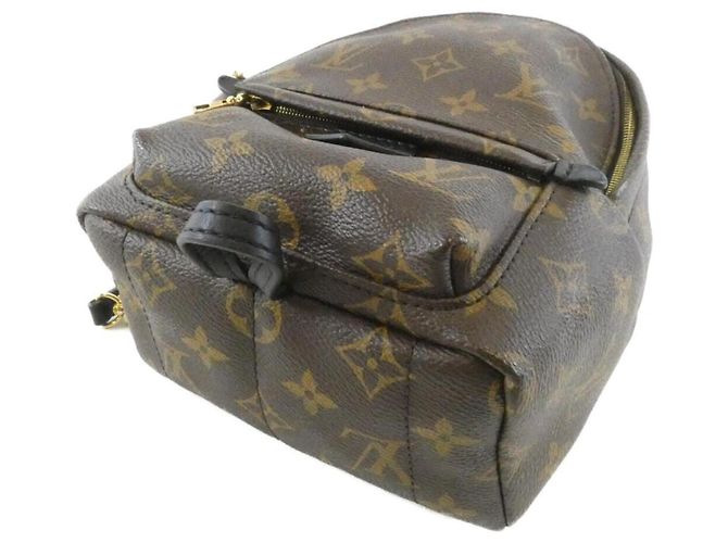 Zaino MINI Palm Springs Monogram Louis Vuitton Marrone - vista 3