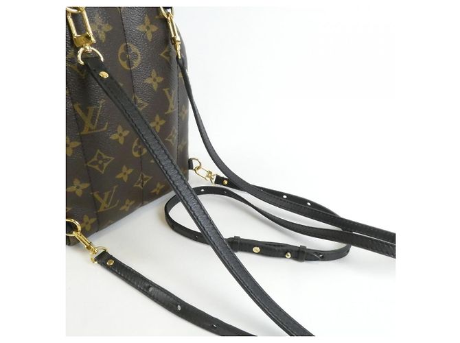 Zaino MINI Palm Springs Monogram Louis Vuitton Marrone - vista 7