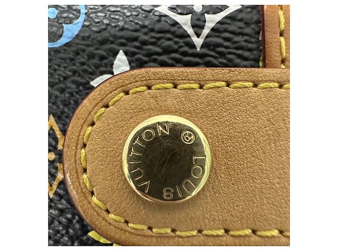 Louis Vuitton Multicolor Agenda PM Notebook Cover Noir Multicolore - vue 7