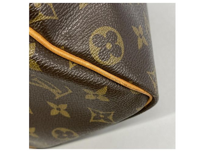 Bolso Louis Vuitton Monogram Speedy 25 Castaño - vista 6