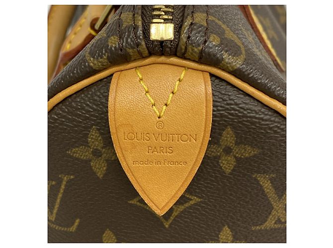 Borsa Louis Vuitton Monogram Speedy 25 Marrone - vista 5