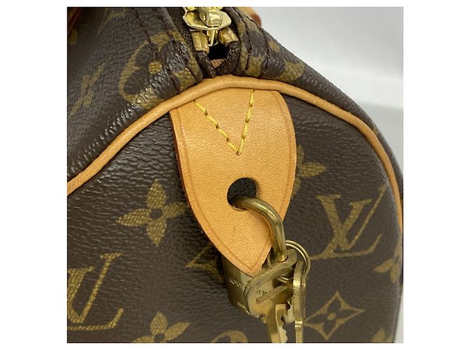 Borsa Louis Vuitton Monogram Speedy 25 Marrone - vista 7
