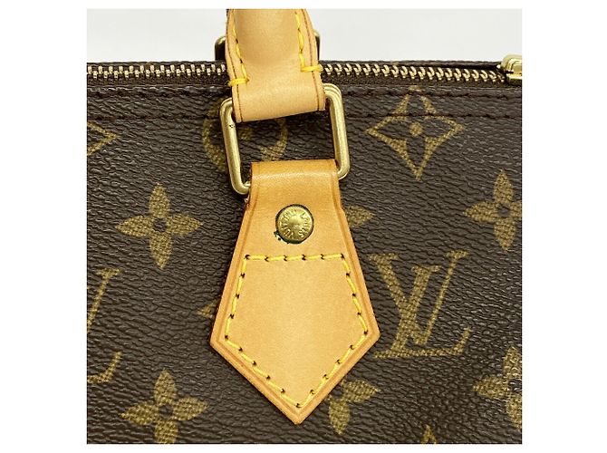 Borsa Louis Vuitton Monogram Speedy 25 Marrone - vista 9
