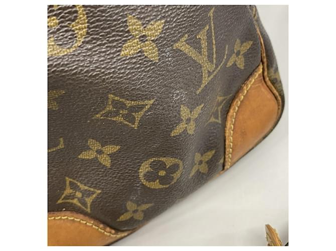 Borsa a tracolla Louis Vuitton Monogram Amazon Marrone - vista 12