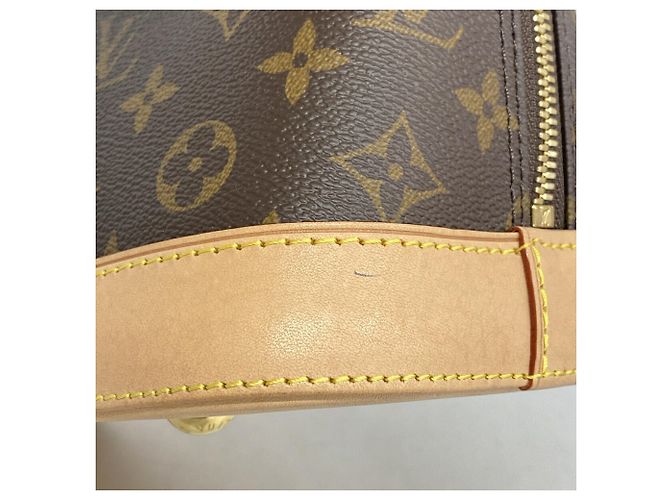 Bolso de mano Louis Vuitton Alma PM Monogram Castaño - vista 6