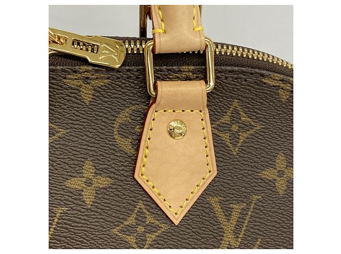 Bolso de mano Louis Vuitton Alma PM Monogram Castaño - vista 8