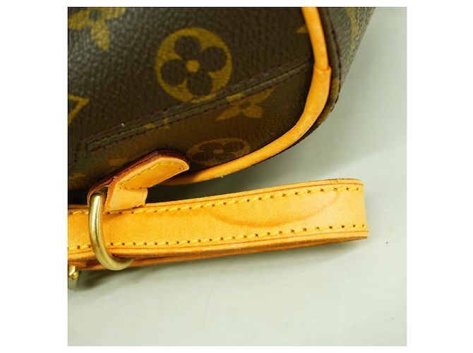 Louis Vuitton Monogram Ellipse Sac Add Backpack Marrone - vista 8