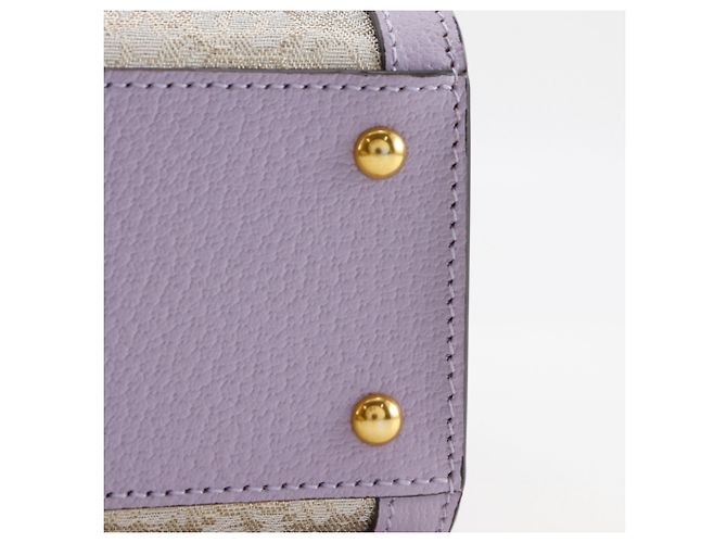 Borsa Gucci Diana Small Collaborazione HOSOO Porpora - vista 7