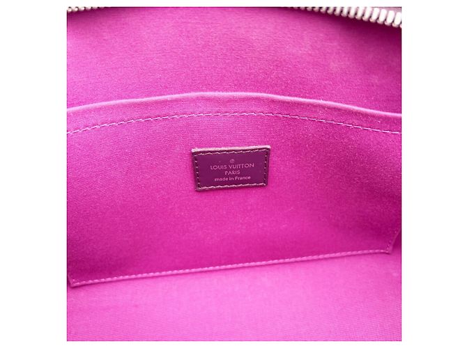 Borsa a tracolla Louis Vuitton in pelle Epi Porpora Viola scuro - vista 19