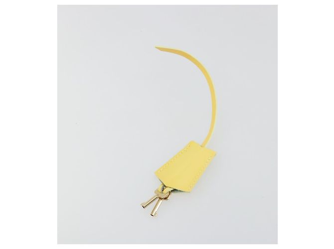LOUIS VUITTON Monogram Vernis Spring Street Lime Giallo M91068 LV Auth 196196 D'oro - vista 12