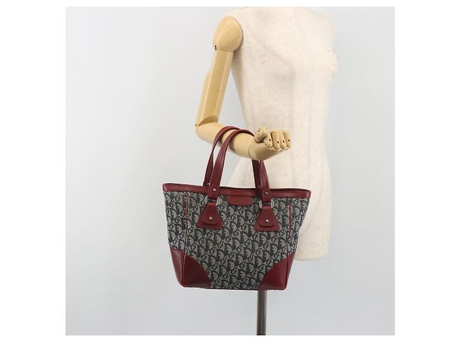 Borsa Christian Dior Trotter Canvas Navy Silver Auth 195056A Argento Blu navy - vista 24