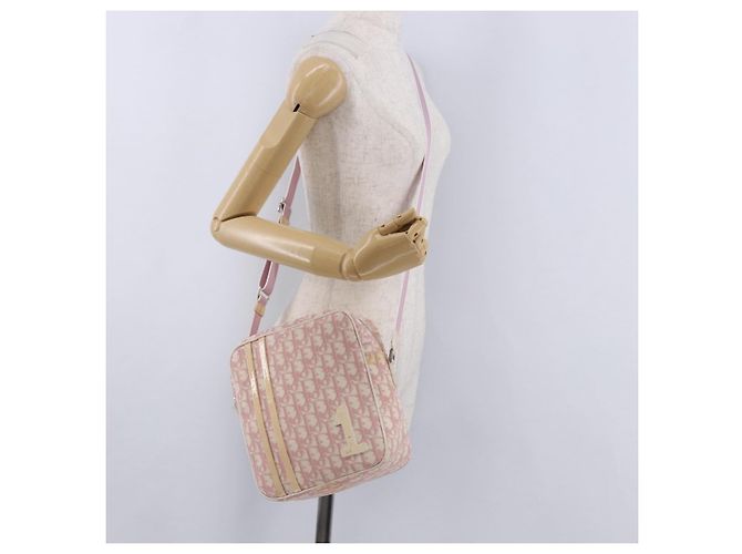 Borsa a tracolla Christian Dior Trotter Canvas PVC Rosa Argento Auth 195709 - vista 23
