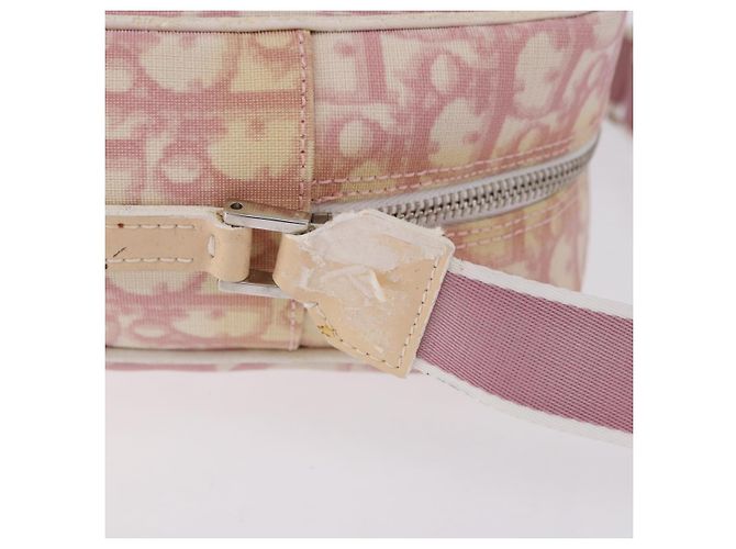 Borsa a tracolla Christian Dior Trotter Canvas PVC Rosa Argento Auth 195709 - vista 4