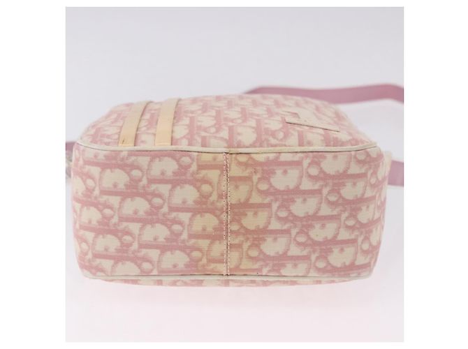Borsa a tracolla Christian Dior Trotter Canvas PVC Rosa Argento Auth 195709 - vista 6