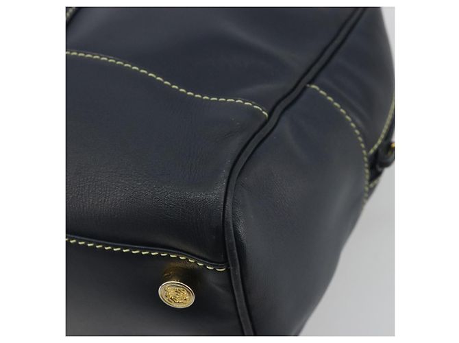LOEWE Amazonas Borsa a Mano Pelle Blu Navy Oro Auth 195648A D'oro - vista 15