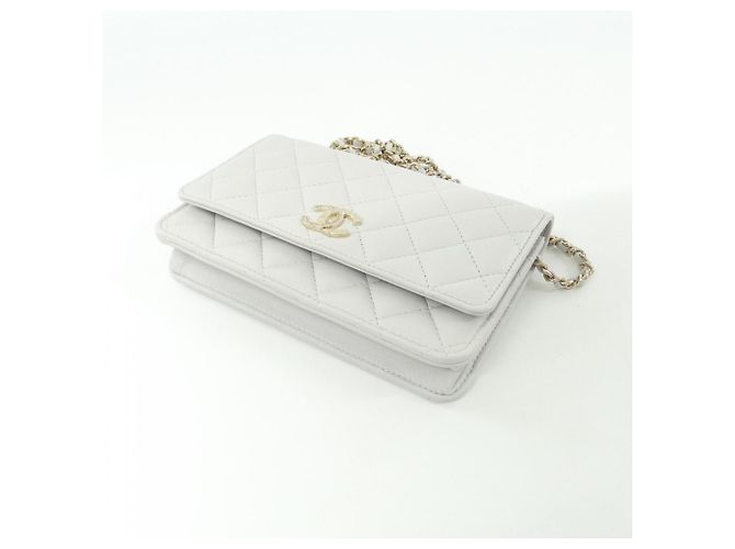 Cartera Chanel AP4337 de piel de cordero gris Castaño - vista 3