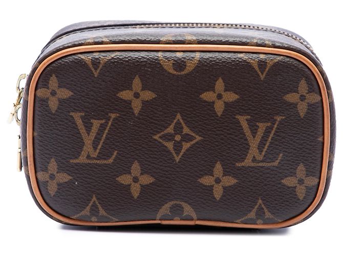 Louis Vuitton Brown Monogram Nice Nano Vanity Case Marrone - vista 3
