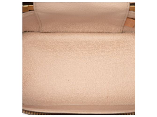 Louis Vuitton Brown Monogram Nice Nano Vanity Case Marrone - vista 4