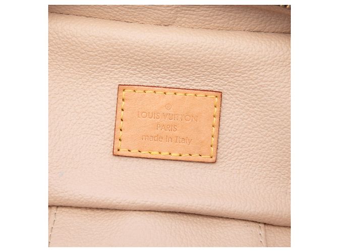 Louis Vuitton Brown Monogram Nice Nano Vanity Case Marrone - vista 5