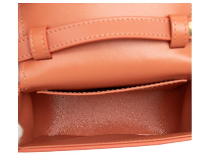 Céline Celine Mini Borsa a Tracolla Triomphe in Vitello Lucido Marrone - vista 4