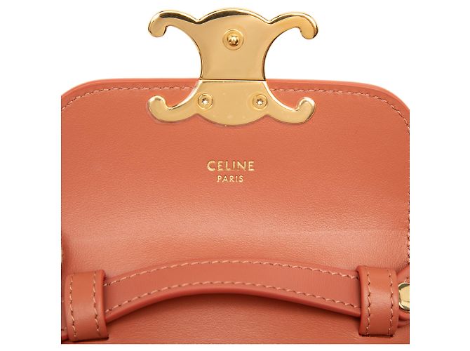 Céline Celine Mini Borsa a Tracolla Triomphe in Vitello Lucido Marrone - vista 5