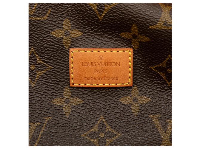 Louis Vuitton Brown Monogram Saumur 25 Marrone - vista 5
