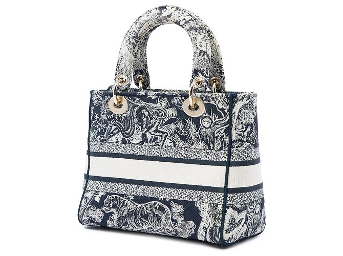Dior Blue Medium Embroidered Canvas Toile de Jouy Lady D Lite - vista 2