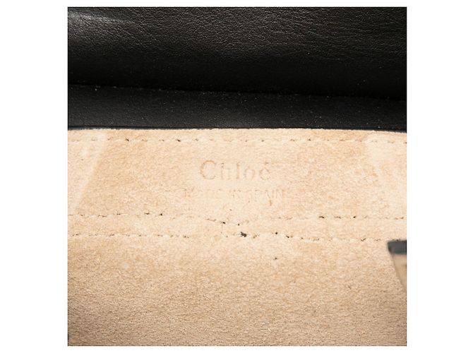 Chloé Mini Borsa a Tracolla Faye in Pelle Nera Nero - vista 5