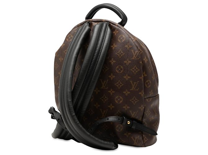 Louis Vuitton Brown Monogram Palm Springs MM Marrone - vista 2