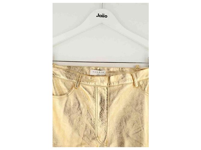 Sandro Goldene Lederhose - Ansicht 2