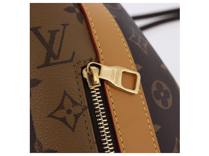 Borsa Messenger LOUIS VUITTON Monogram Stripe Randonnee M45968 LV Auth 198698M Monogramma - vista 15