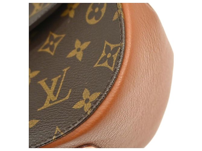 Louis Vuitton Eden Monogram Canvas MM Marrone - vista 7