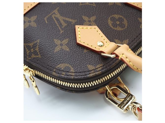 Borsa a tracolla Nano Alma Monogram Louis Vuitton Marrone Beige - vista 12