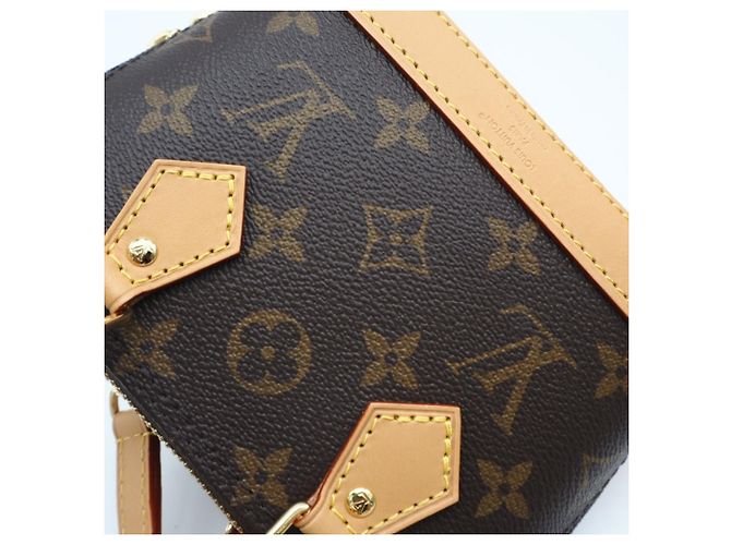 Borsa a tracolla Nano Alma Monogram Louis Vuitton Marrone Beige - vista 4