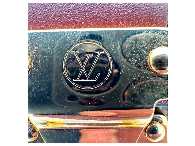 Borsa Louis Vuitton Papillon Trunk in Nylon Canvas marrone - vista 11
