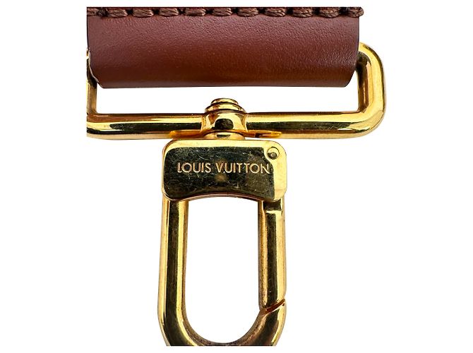Borsa Louis Vuitton Papillon Trunk in Nylon Canvas marrone - vista 13