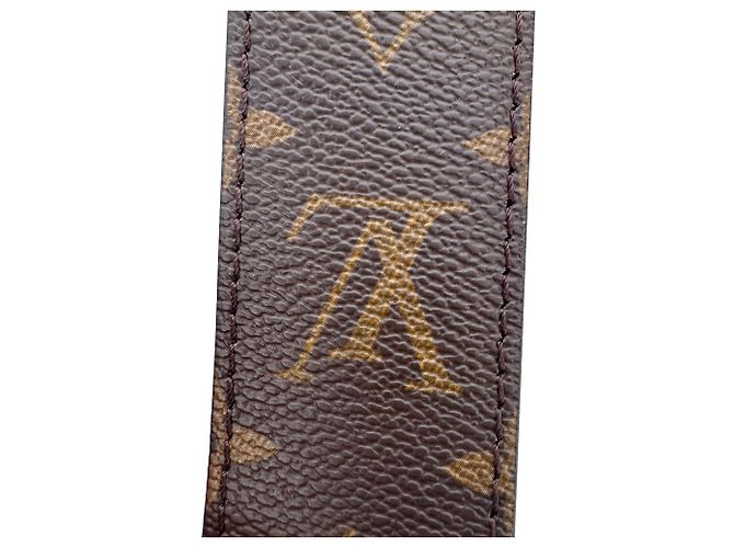 Borsa Louis Vuitton Papillon Trunk in Nylon Canvas marrone - vista 15