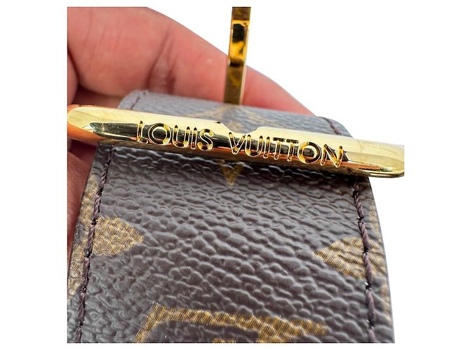 Borsa Louis Vuitton Papillon Trunk in Nylon Canvas marrone - vista 16