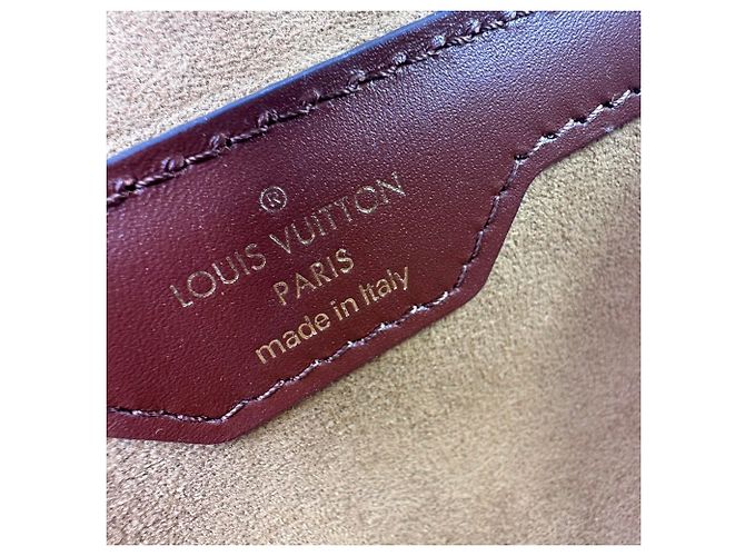 Borsa Louis Vuitton Papillon Trunk in Nylon Canvas marrone - vista 19