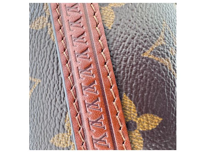 Borsa Louis Vuitton Papillon Trunk in Nylon Canvas marrone - vista 9