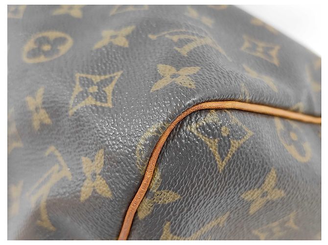 Louis Vuitton Speedy Monogram Canvas 30 Marrone - vista 5