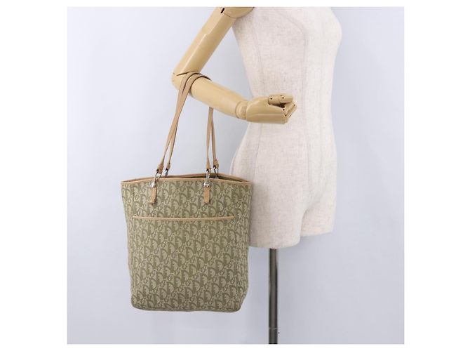 Borsa Tote Christian Dior Trotter Canvas Verde Argento Auth 198332 - vista 25