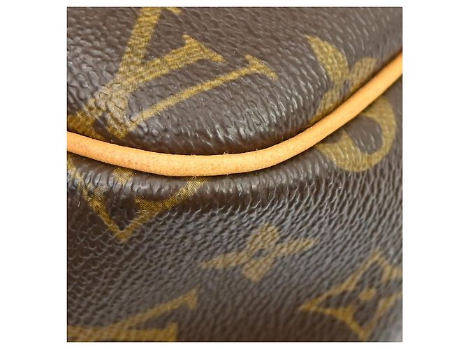 Louis Vuitton Reporter Monogram PM Marrone - vista 6