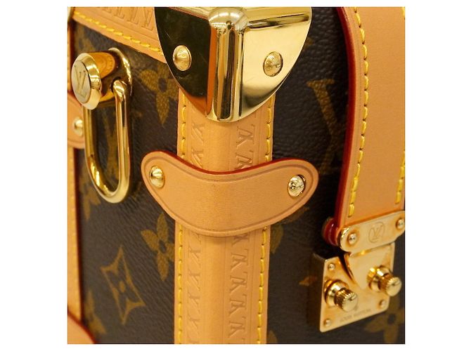 Borsa Louis Vuitton Monogram Trunk MM Marrone - vista 7