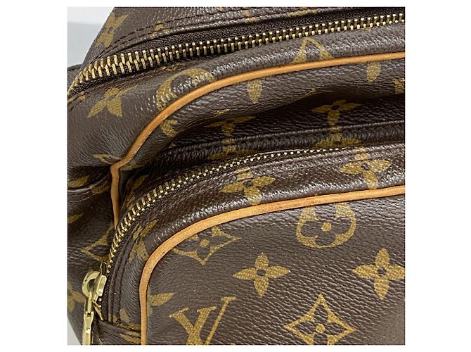Borsa a tracolla Nile Monogram Louis Vuitton Marrone - vista 10