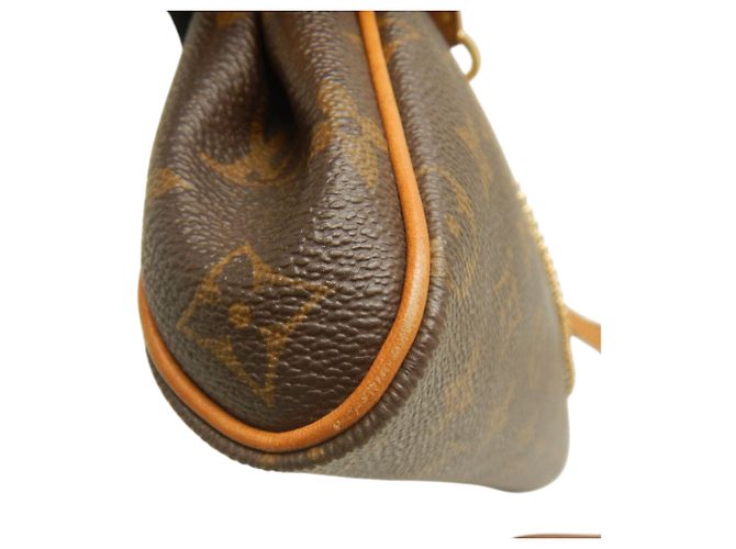 Louis Vuitton Brown Monogram Eva Marrone - vista 14